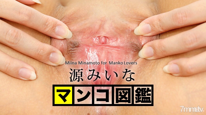 102015-001 貓圖畫書 Minamoto Miina Minamoto