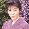 Shiratori Aprikot