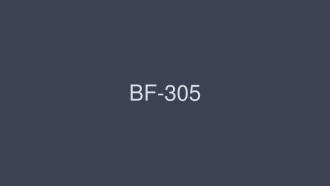 BF-305-UNCENSORED-LEAK