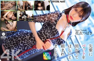 CRNX-254 [4K] 学长拜托我照顾他的宠物…花衣椿