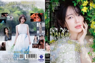 Eksklusibong DAHLIA na gawa sa Dengeki na tinatawag na Misaki Kanna. Isang nag-iisa at magandang bulaklak ang namumulaklak.