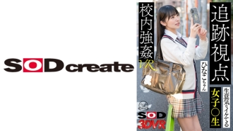 DSVR-1273 [VR] [追踪视角] 调皮又帅气的女学生雏子酱被强制送进学校 VR