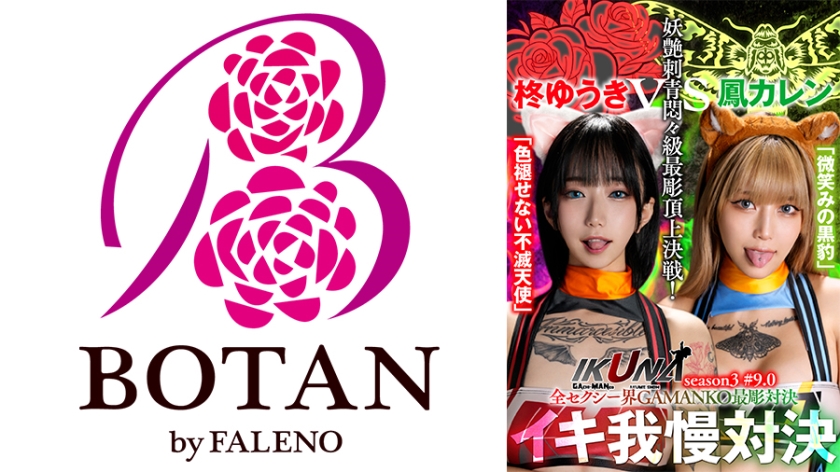 IKUNA-005 "IKUNA #9.0" Yuuki Hiiragi vs Karen Otori All the sexy world GAMANKO's most carved showdown Bewitching tattoo agony...Incontinence! Who is the best climax queen? “Unfading Immortal Angel” Yuki Hiiragi vs. “Smiling Black Panther” Karen Otori