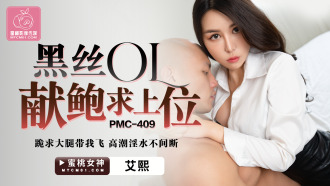 PMC409