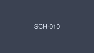 SCH-010