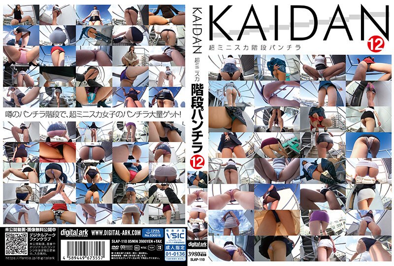 SLAP-110 KAIDAN12