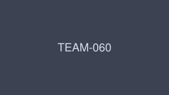 TEAM-060